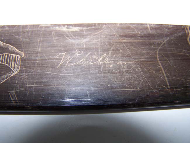 A 19th century ANTIQUE scrimshawed Baleen Corset Busk depicting a Sperm and Right Whale — image 8